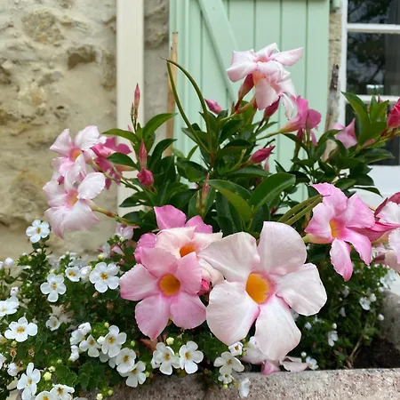 Bed & Breakfast La Bordeneuve - D'hotes 4*