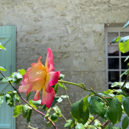 Bed & Breakfast La Bordeneuve - D'hotes Auch