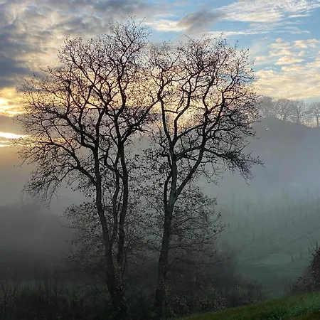 Bed & Breakfast La Bordeneuve - D'hotes Auch